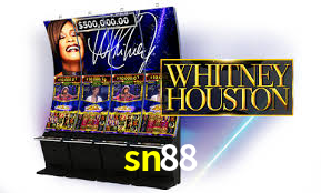 Premium Interface sn88