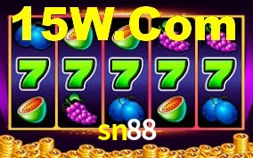 sn88.com